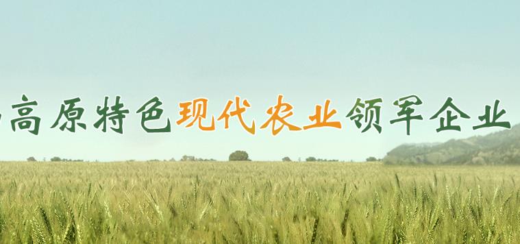 合作共贏促發(fā)展 打造現(xiàn)代農(nóng)業(yè)領(lǐng)軍企業(yè)